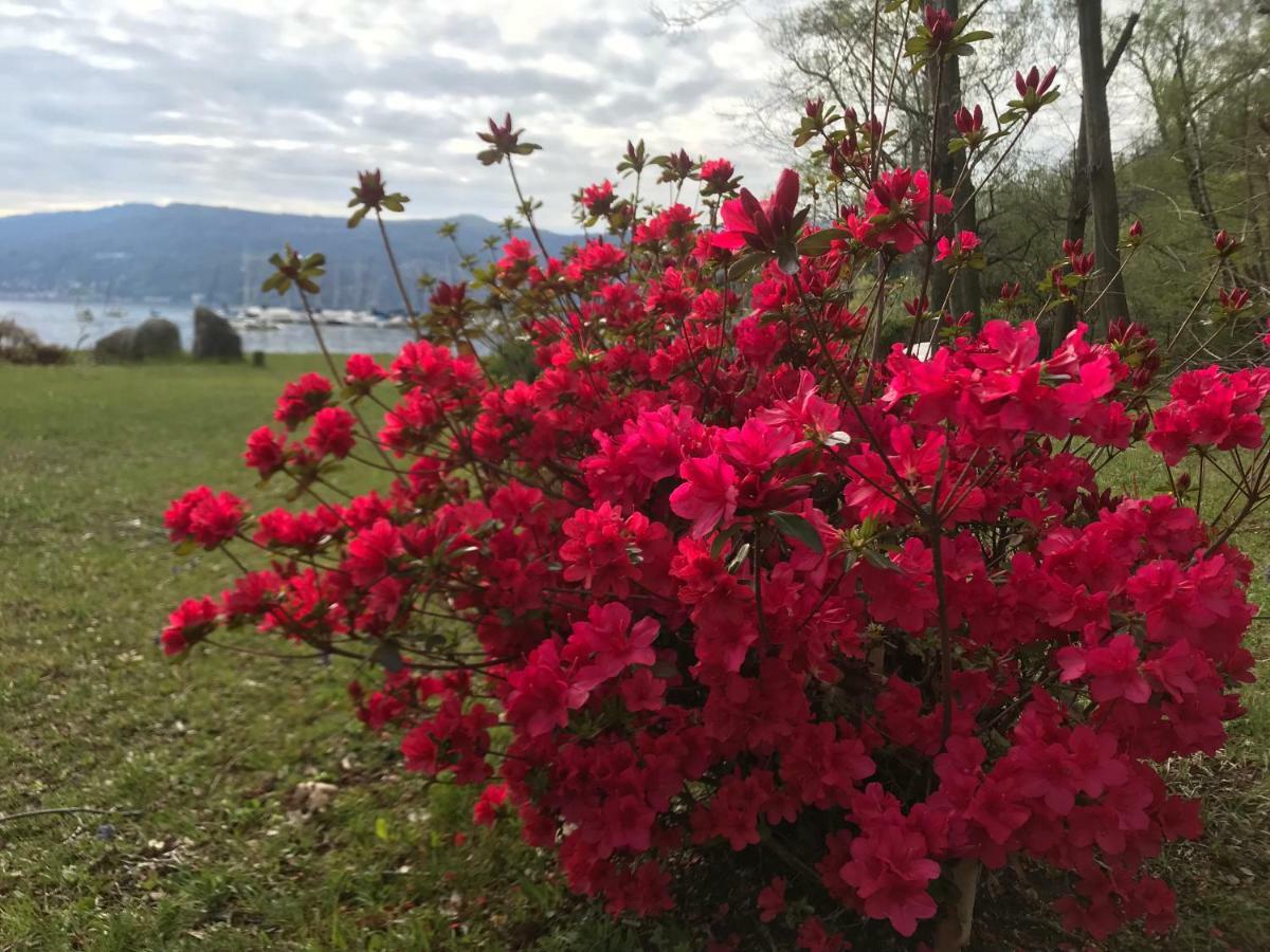 The Gulf Villa - Lago Maggiore Monvalle Exterior foto